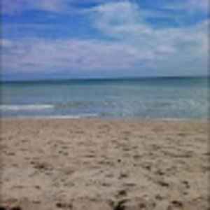 Meet your Posher, Carolina